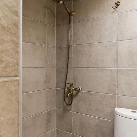 度假居 The Wild Cyclamen Stone House And Estate In 达西亚