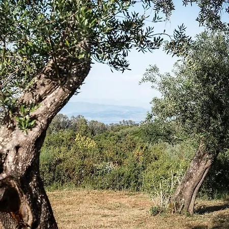 The Wild Cyclamen Stone House And Estate In 度假居