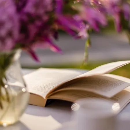 度假居 The Wild Cyclamen Stone House And Estate In 达西亚