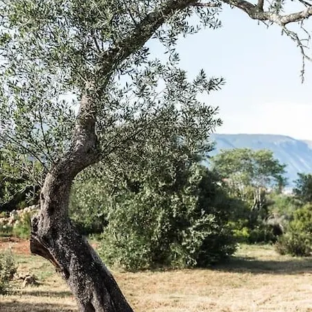 The Wild Cyclamen Stone House And Estate In 度假居