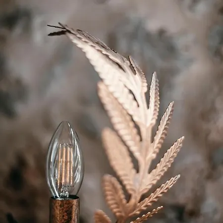 The Wild Cyclamen Stone House And Estate In